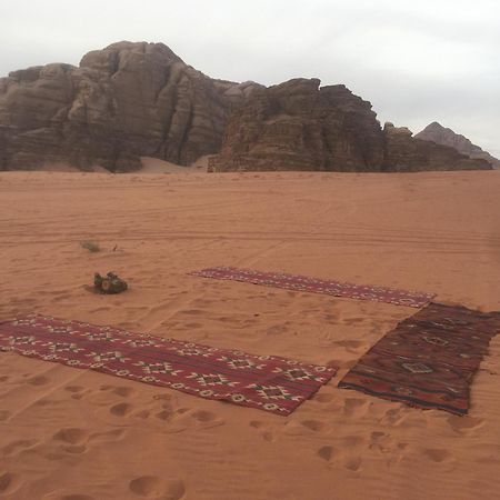 Wild Of Wadi Rum Exteriör bild