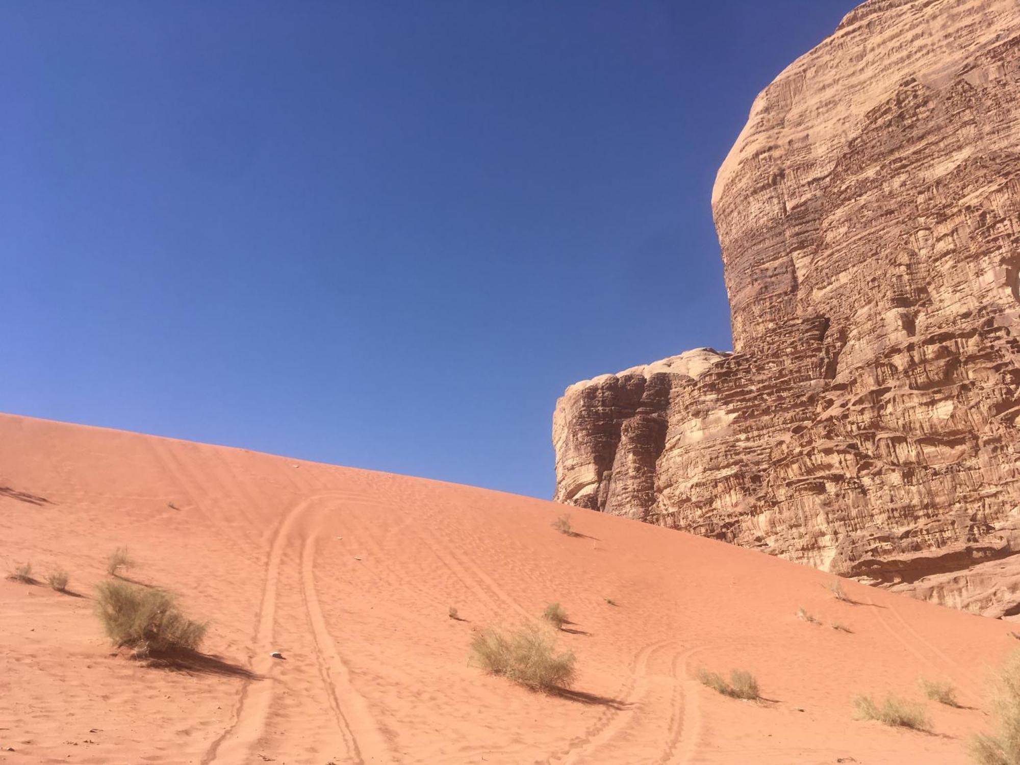 Wild Of Wadi Rum Exteriör bild