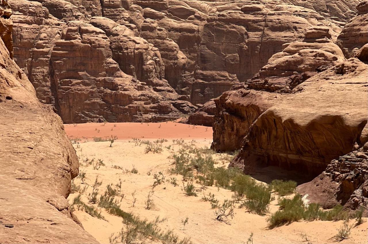 Wild Of Wadi Rum Exteriör bild