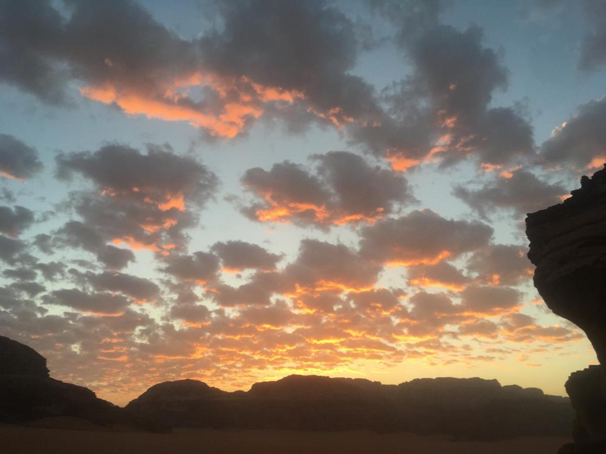 Wild Of Wadi Rum Exteriör bild
