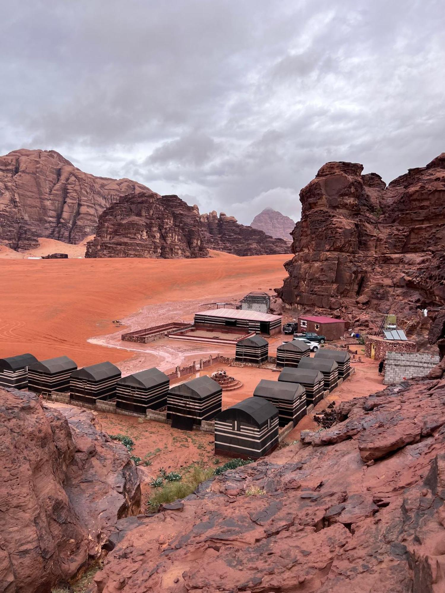 Wild Of Wadi Rum Exteriör bild