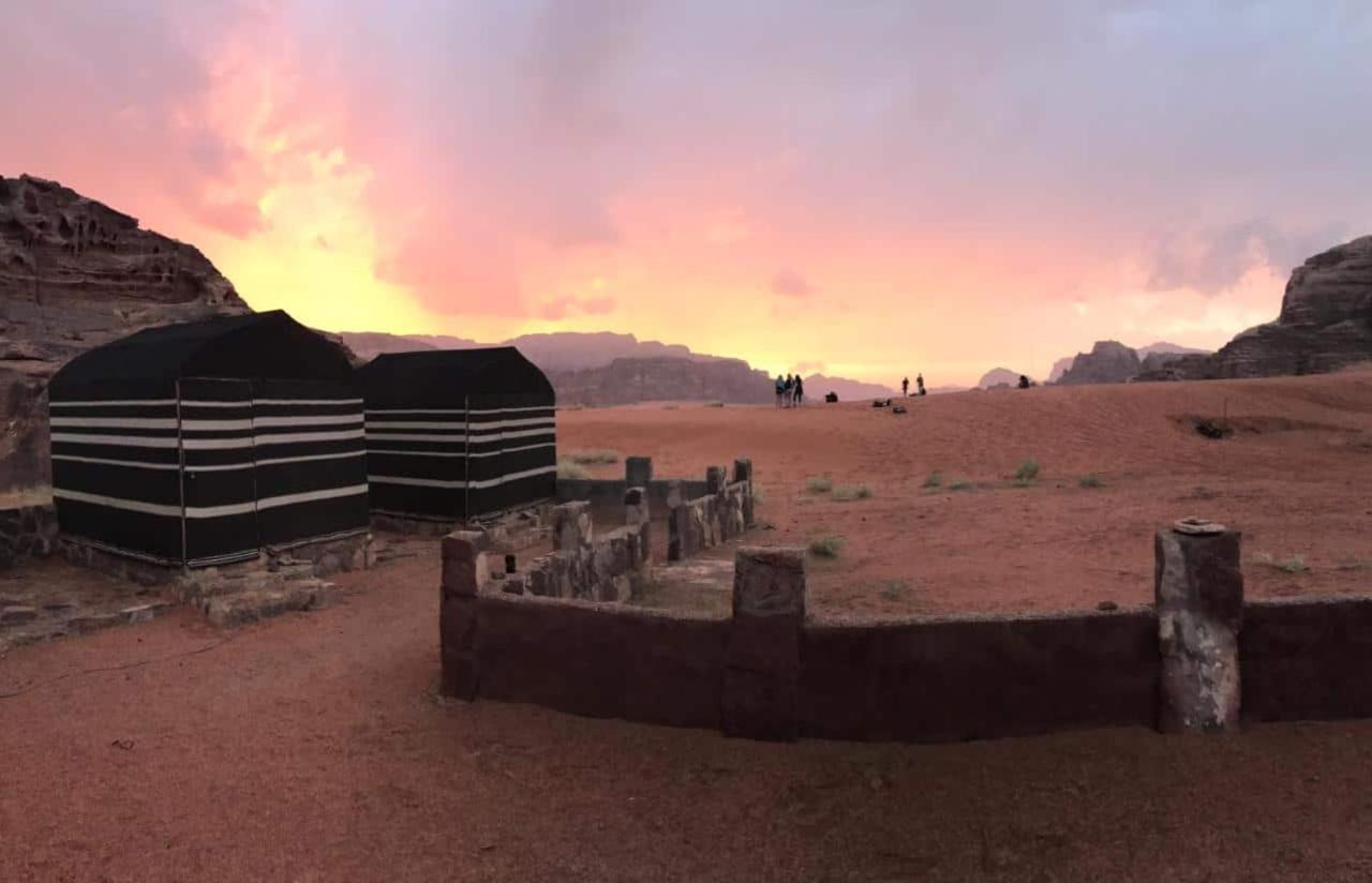 Wild Of Wadi Rum Exteriör bild