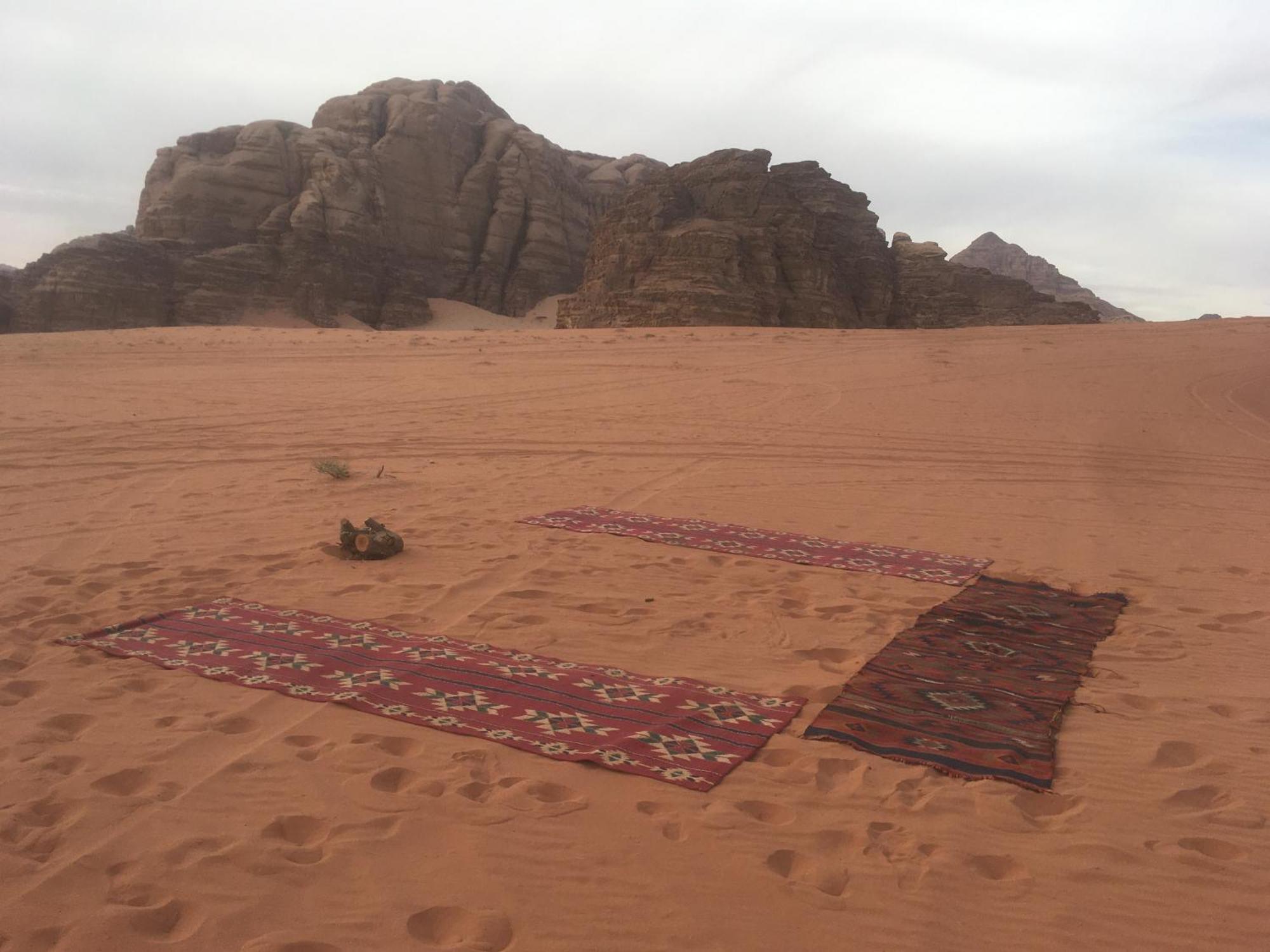 Wild Of Wadi Rum Exteriör bild