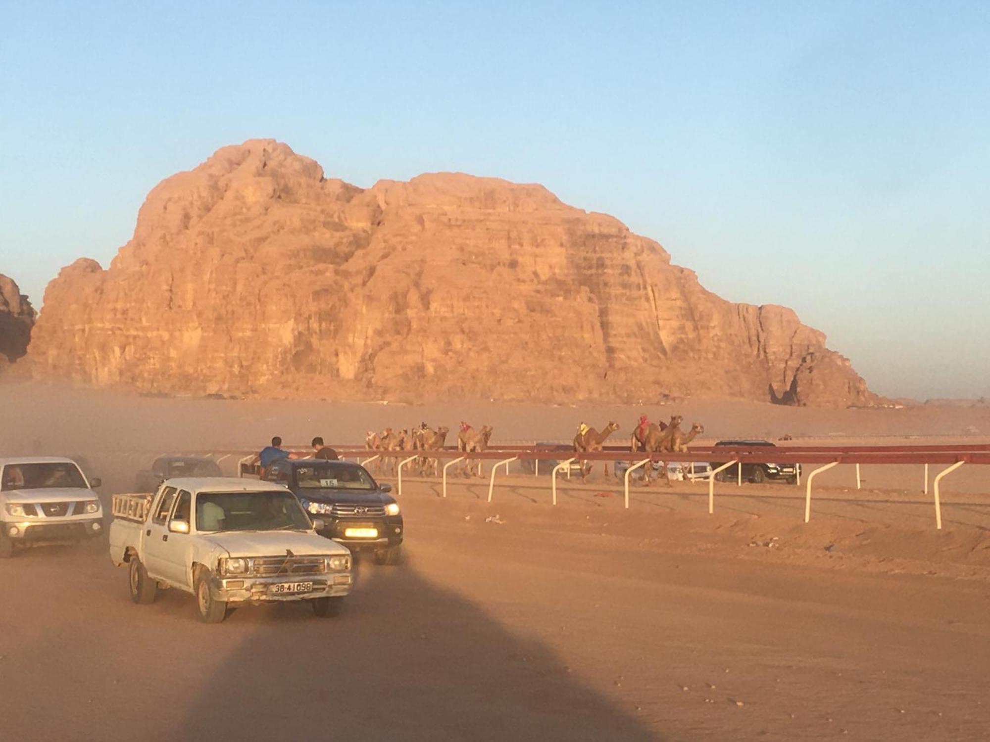 Wild Of Wadi Rum Exteriör bild