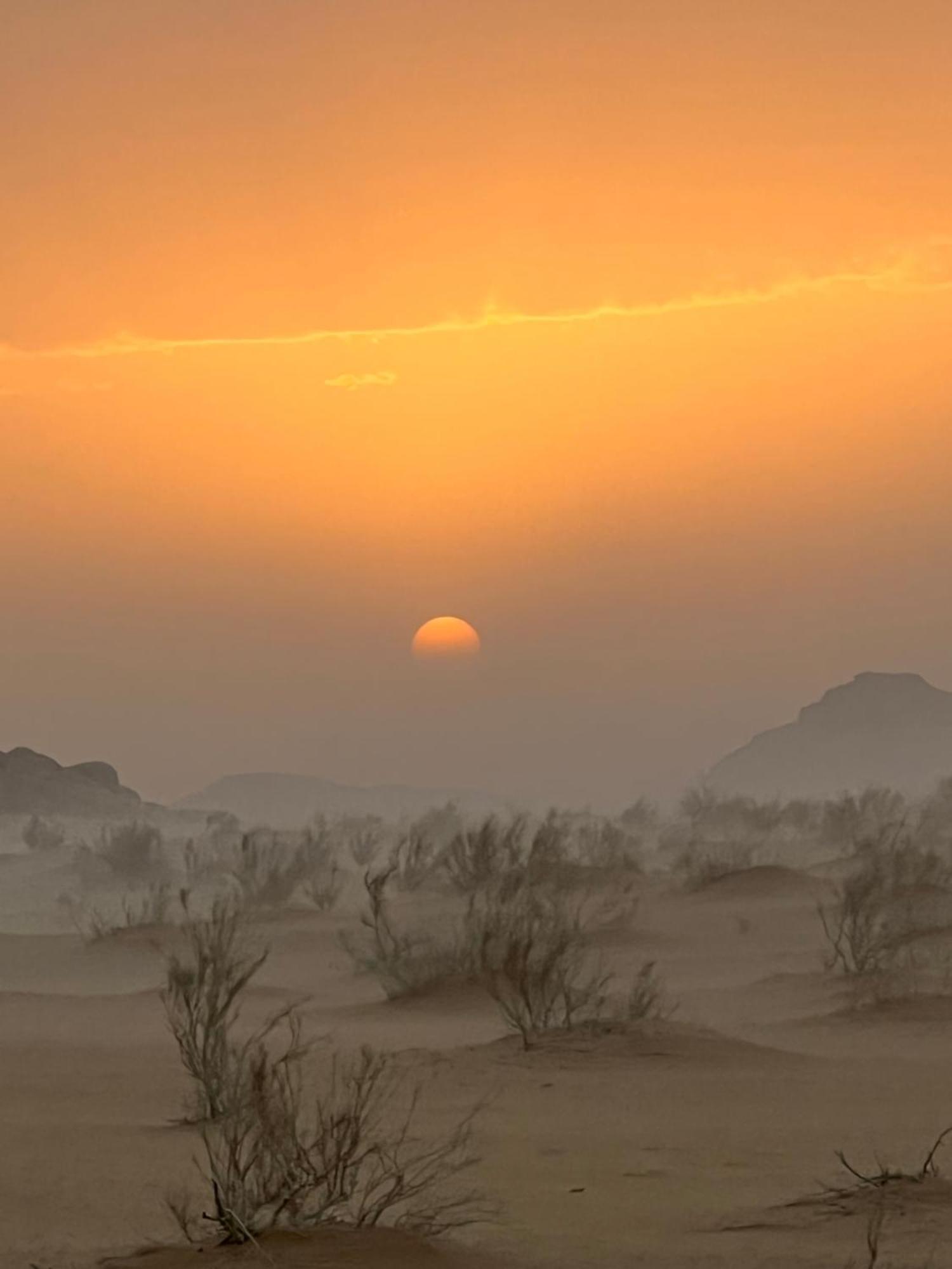 Wild Of Wadi Rum Exteriör bild