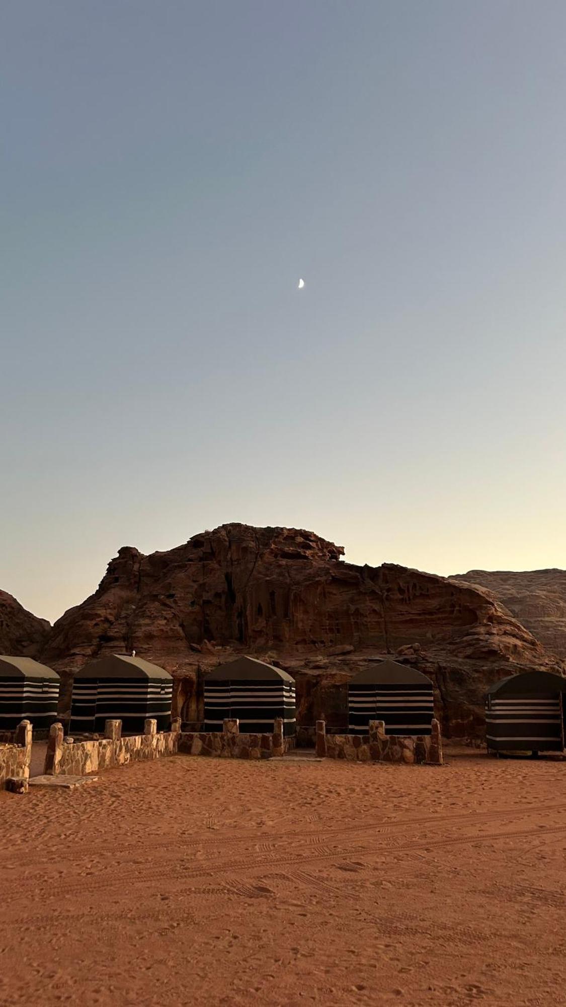 Wild Of Wadi Rum Exteriör bild
